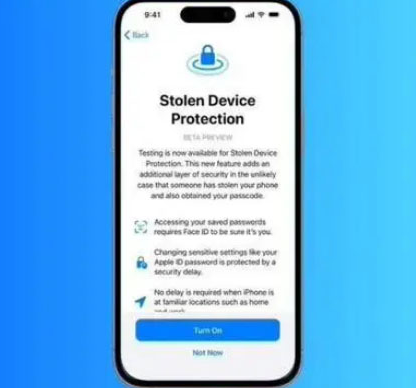 潭牛镇苹果授权维修店分享被盗设备保护功能开启方法 