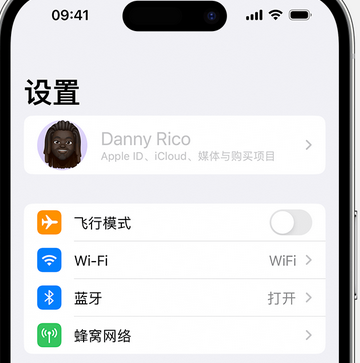 潭牛镇appleID维修服务iPhone设置中Apple ID显示为灰色无法使用