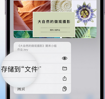 潭牛镇apple维修中心分享iPhone文件应用中存储和找到下载文件