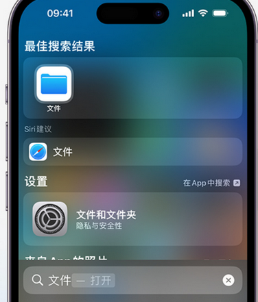 潭牛镇apple维修中心分享iPhone文件应用中存储和找到下载文件 