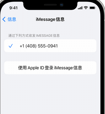 潭牛镇apple维修iPhone上无法正常发送iMessage信息 