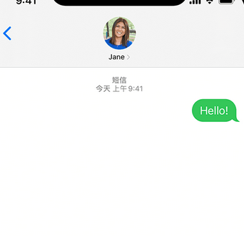 潭牛镇apple维修iPhone上无法正常发送iMessage信息