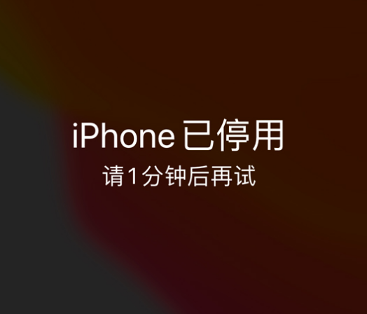 潭牛镇苹果手机维修分享:iPhone 显示“不可用”或“已停用”怎么办？还能保留数据吗？ 