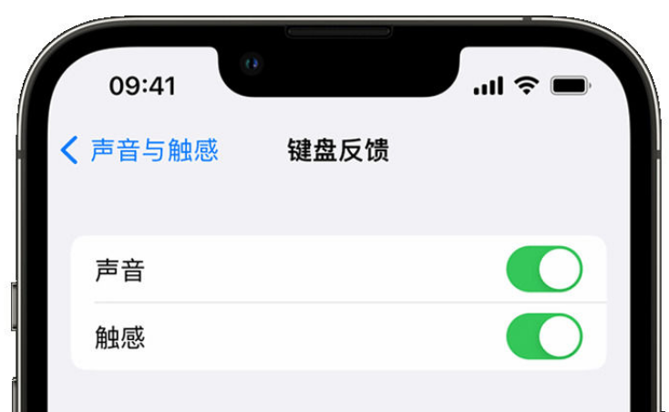 潭牛镇苹果手机维修分享iPhone 14触感键盘使用方法 