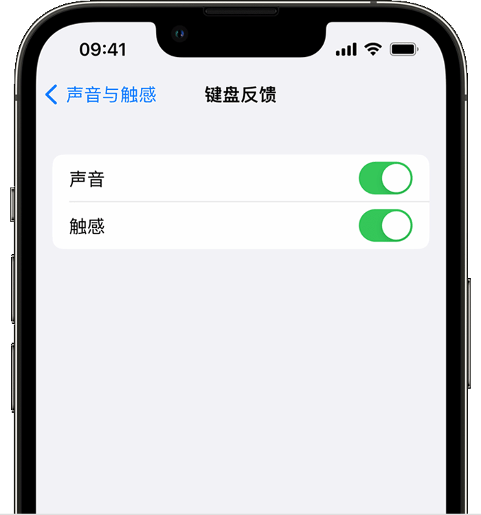 潭牛镇苹果14维修店分享如何在 iPhone 14 机型中使用触感键盘 