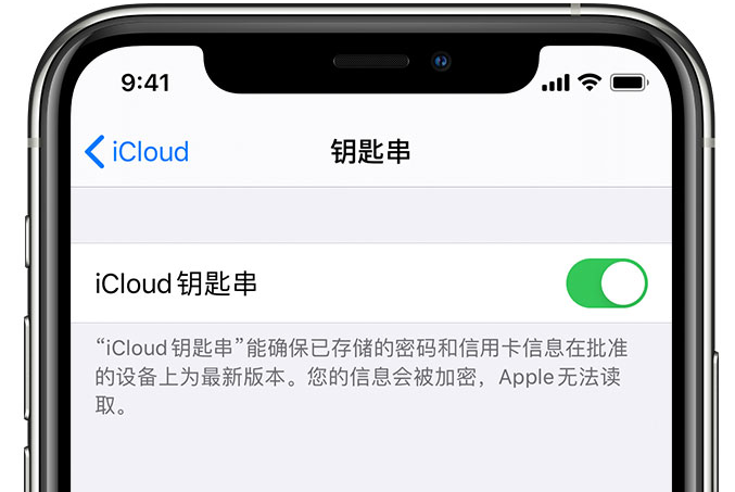 潭牛镇苹果手机维修分享在 iPhone 上开启 iCloud 钥匙串之后会储存哪些信息 