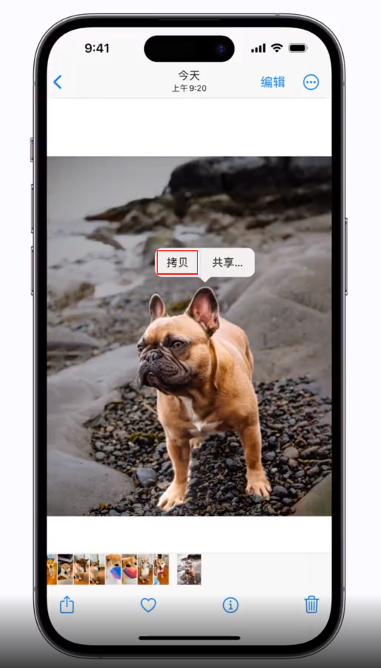 潭牛镇 苹果手机维修分享iOS 16 “照片”应用更新内容与改进汇总 