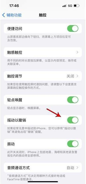 潭牛镇苹果手机维修分享iPhone手机如何设置摇一摇删除文字 