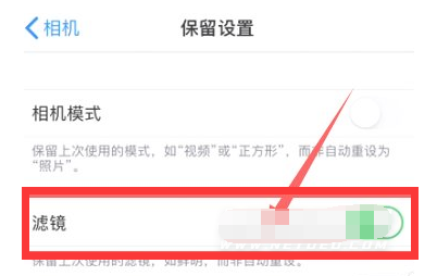 潭牛镇苹果13维修分享iPhone13拍照有绿点是怎么回事 