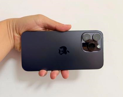 潭牛镇苹果维修点分享iPhone 14 Pro Max发烫多重诱因剖析 